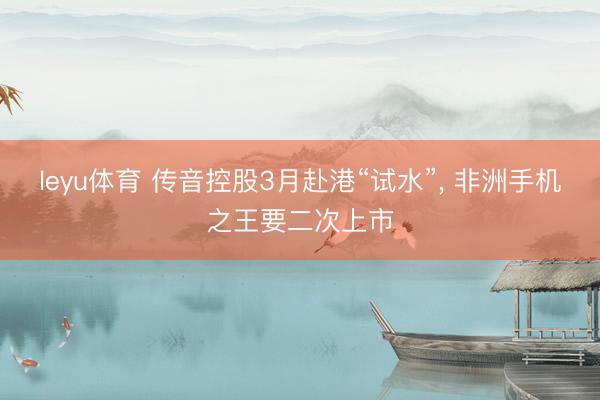 leyu体育 传音控股3月赴港“试水”， 非洲手机之王要二次上市