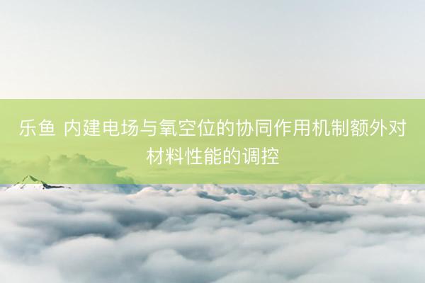 乐鱼 内建电场与氧空位的协同作用机制额外对材料性能的调控