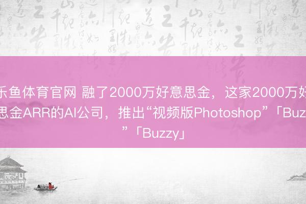 乐鱼体育官网 融了2000万好意思金，这家2000万好意思金ARR的AI公司，推出“视频版Photoshop”「Buzzy」