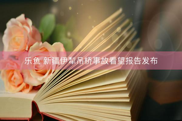 乐鱼 新疆伊犁吊桥事故看望报告发布